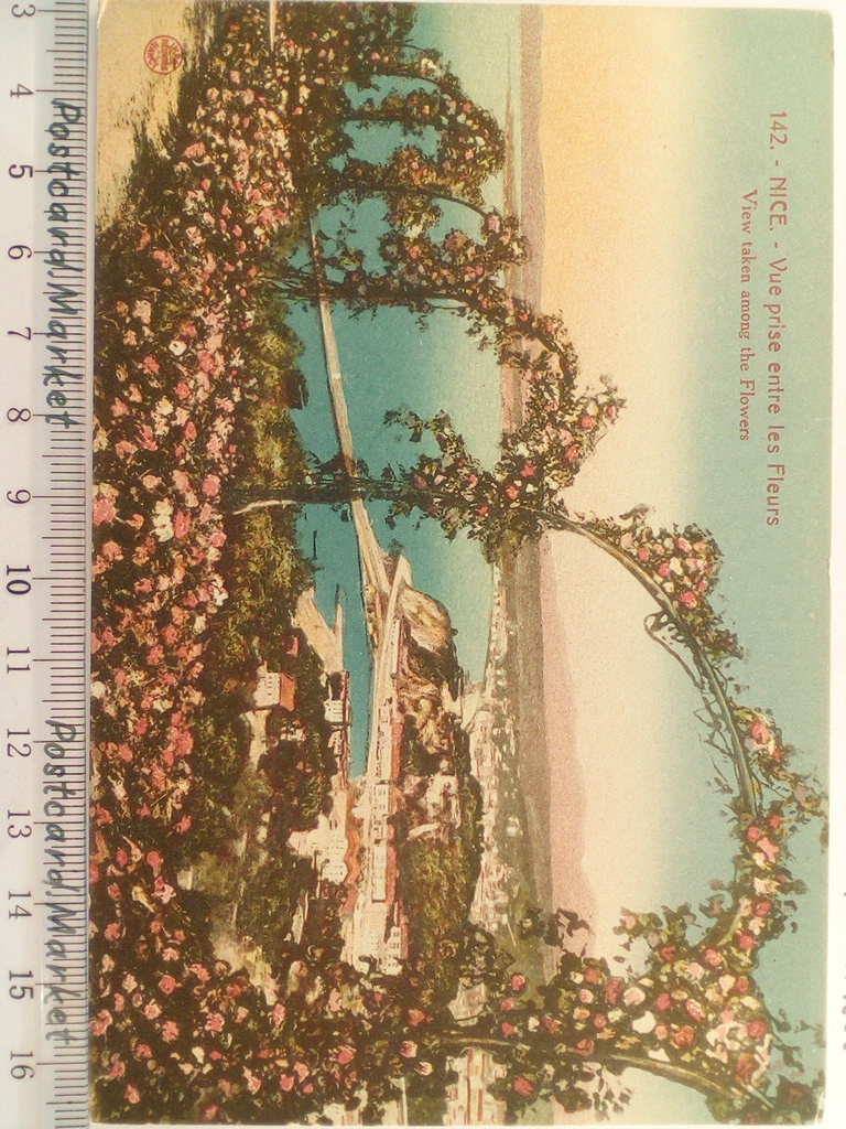 /France/FR_place_19xx_NICE. Vue prise entre les Fleurs color.jpg